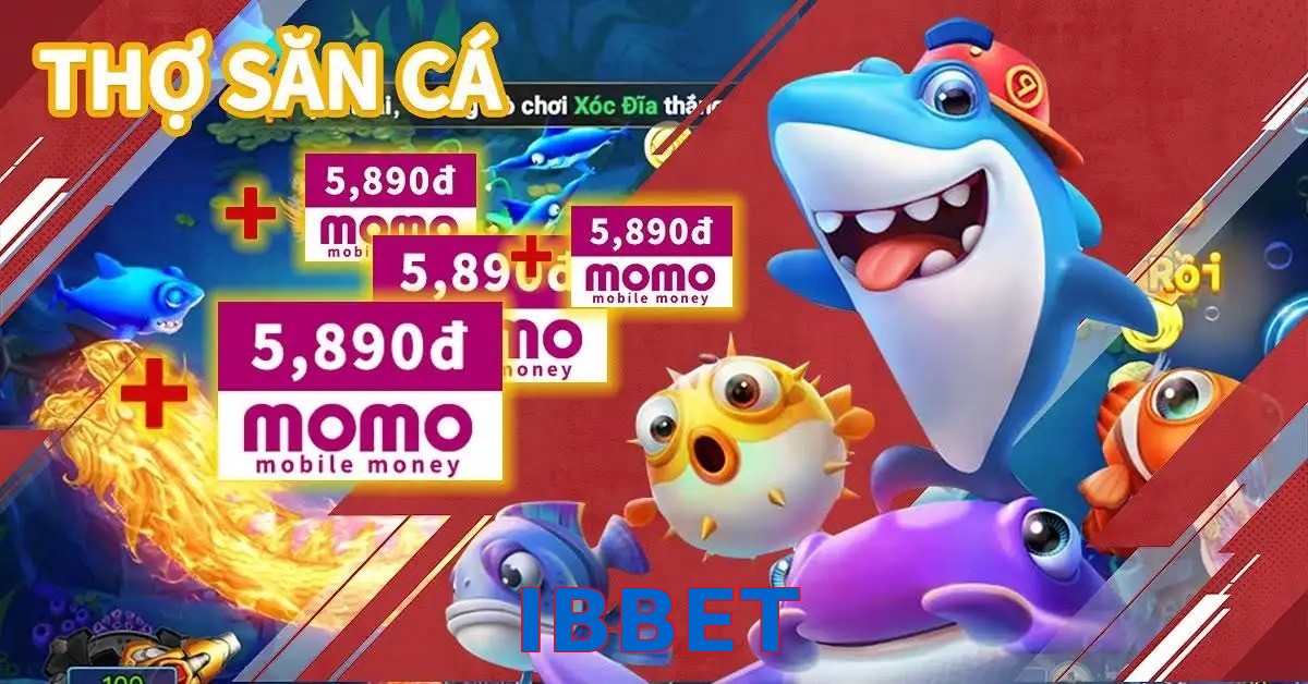 IBBET